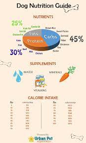 dog s daily nutritional chart