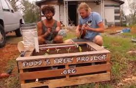 build a self watering raised garden bed