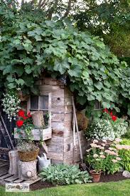 Summer Outdoor Shed