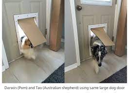 Insulated Pet Doors Door Mounted Dog