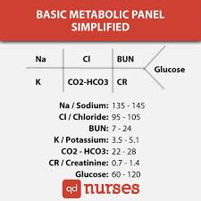 Basic Metabolic Panel Simplified Qd Nurses Doctor Of