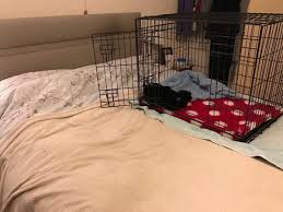 you move puppy crate out of bedroom