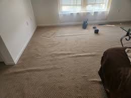 delaware carpet cleaning restoration