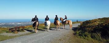 go horse riding in dublin with visit dublin