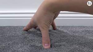object carpet silky seal 1200 objekt