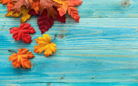 leaves fall wooden surface hd