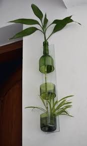 grow plants in water bottles indoors