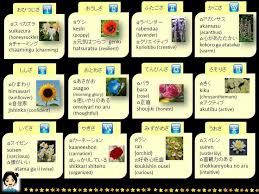 Zodiac Signs Birth Flowers Japanese Learn Japan