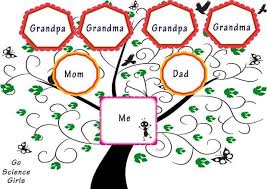 family tree template for kids 15