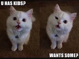 25 best cat memes clean funny memes grumpy cat memes. Lolcats Kids Lol At Funny Cat Memes Funny Cat Pictures With Words On Them Lol Cat Memes Funny Cats Funny Cat Pictures With Words On