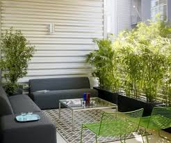 Bamboo Plants And Reed Mats