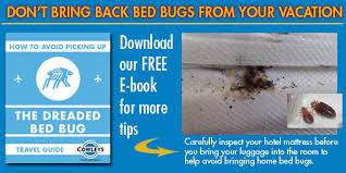 bed bug travel tips prevention