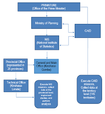 Illustrative Organizational Chart On The Role Of The Nis And
