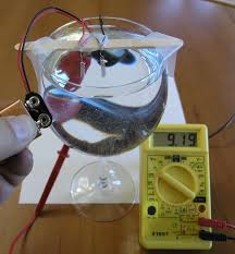 build a hydrogen fuel cell