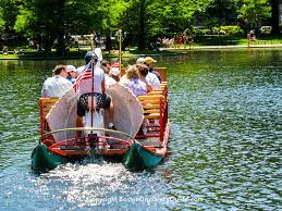 boston swan boats top attraction