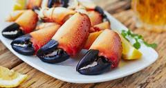 16 best new orleans seafood restaurants
