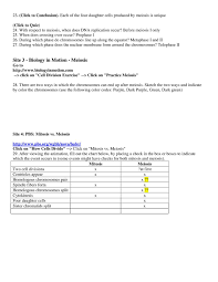 View meiosis drag and drop answer key.pdf from bio 120 at ohio wesleyan university. File Meiosis Web Worksheet Pdf Theplaz Com