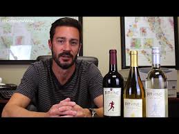 fitvine wine to health conscious