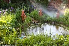 Create A Pond To Welcome Nature To Your