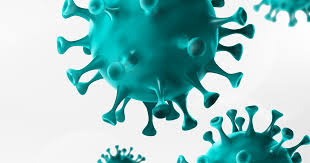 coronavirus covid 19 guidance the