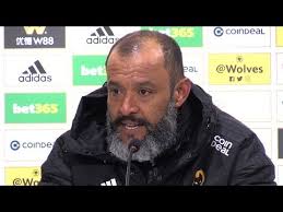 Image result for Newcastle 1 Wolves 1