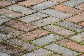 Prevent Weeds Around Brick Pavers