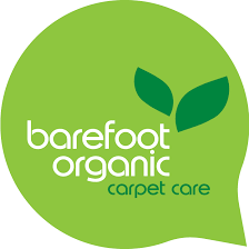 barefoot organic carpet cleaning