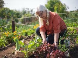 how does gardening help the elderly