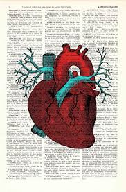 human heart hd phone wallpaper peakpx