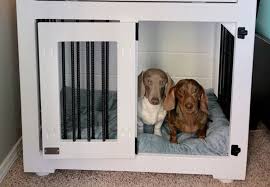 A Dog Crate In A Small Space