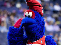 what-animal-is-the-wizards-mascot