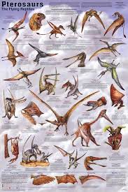 Laminated Pterosaurs Educational Dinosaur Science Chart Poster Laminated Poster By Art Com