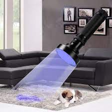 blacklight to clean dog