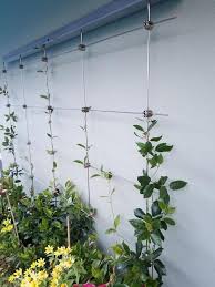Diy Green Wall Cable Trellis Kit Cable