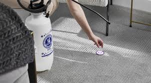 carpet cleaning services chem dry of
