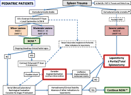 Splenic Trauma Wses Classification And Guidelines For Adult
