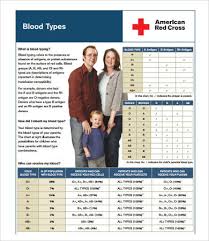 Blood Types Chart 7 Free Pdf Download Documents Free