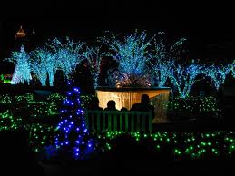 Holiday Lights In The Atlanta Botanical Garden Atlanta