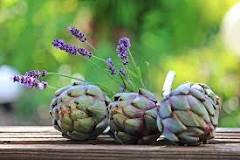 Is artichoke good for weight loss?