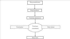 A Typical Formal Drug Distribution Channel Flow Chart