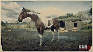 Tobiano American Paint Horse Rdr2