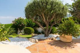 Mediterranean Garden Ideas And