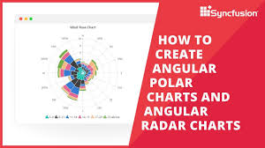How To Create Angular Polar Charts And Angular Radar Charts