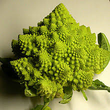 So much better than broccoli. Romanesco Wiktionary