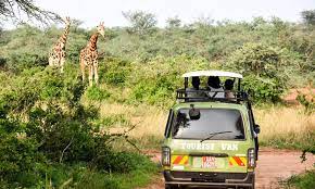 Game Drive in Murchison Falls National Park - Uganda Safaris