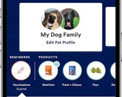 Petco app, an app where you can buy pet supplies