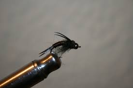 Best Adirondack Fly Selections Search Patterns Papa