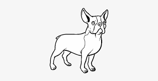 Unfortunately, some colors are more prone to health problems because of the breeding practices that produce them. French Bulldog Dog Coloring Page Dibujos De Perros Bulldog Frances Free Transparent Png Download Pngkey