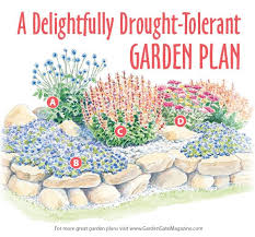 A Colorful Drought Tolerant Garden