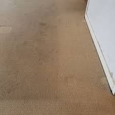 carpet cleaning perth get a free